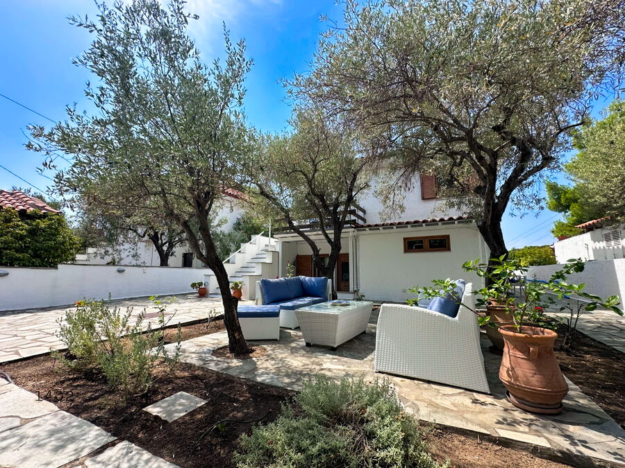 Garden with olive tree and seating