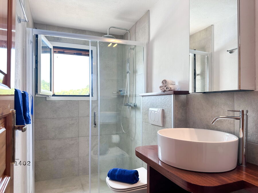 Bathroom with shower and window