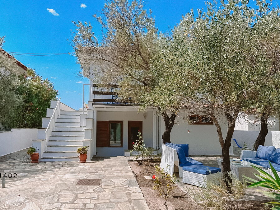 Courtyard with olive tree and outside stairs